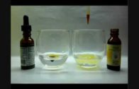 Test kvality propolisovej tinktúry